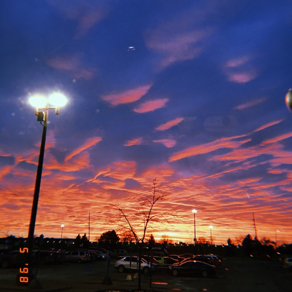 Meet your Posher, Saylor